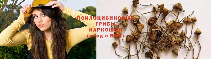 Галлюциногенные грибы MAGIC MUSHROOMS  Весьегонск 